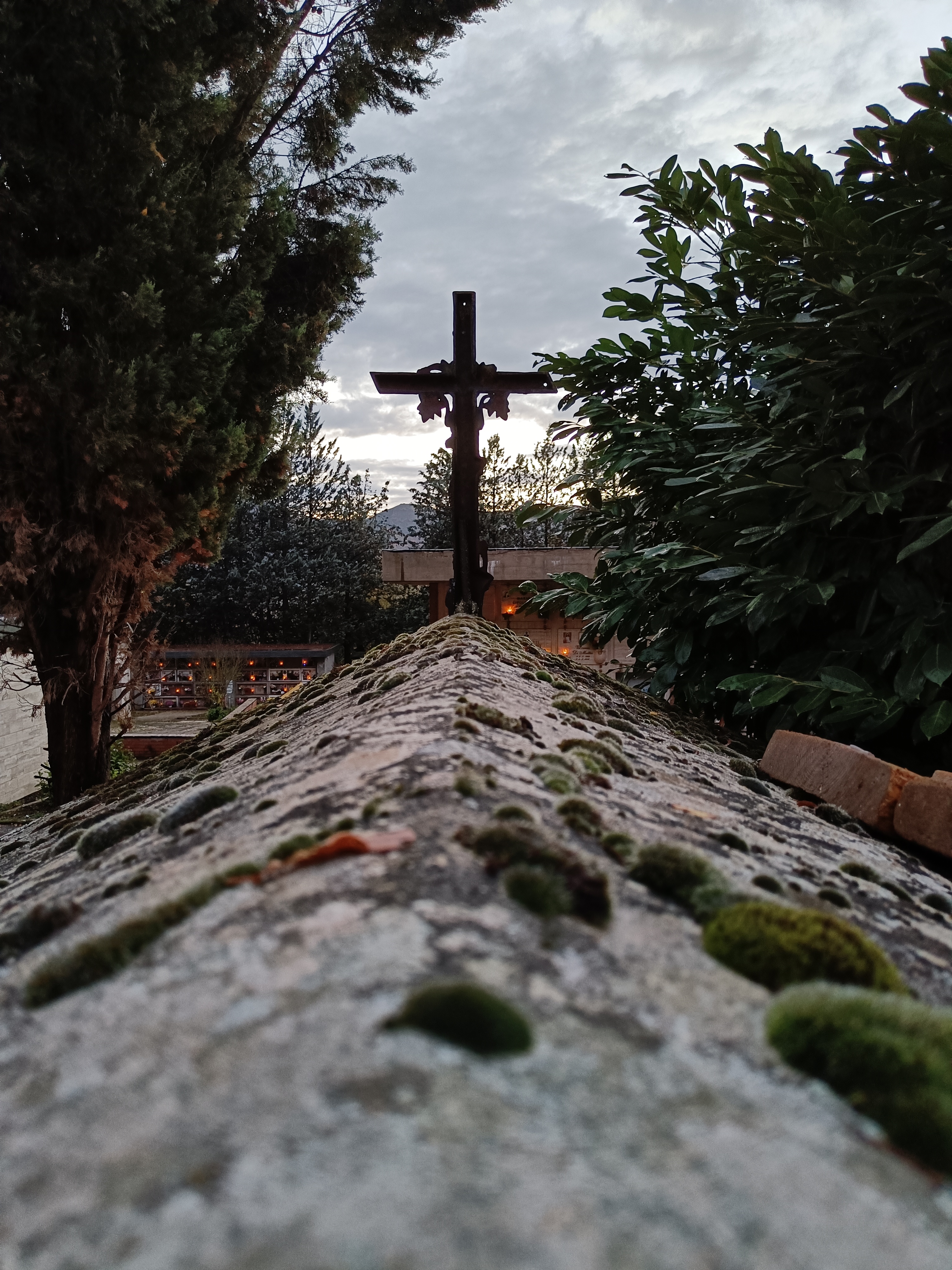 Il giorno dei morti, i papiri a&nbsp;Camposanto