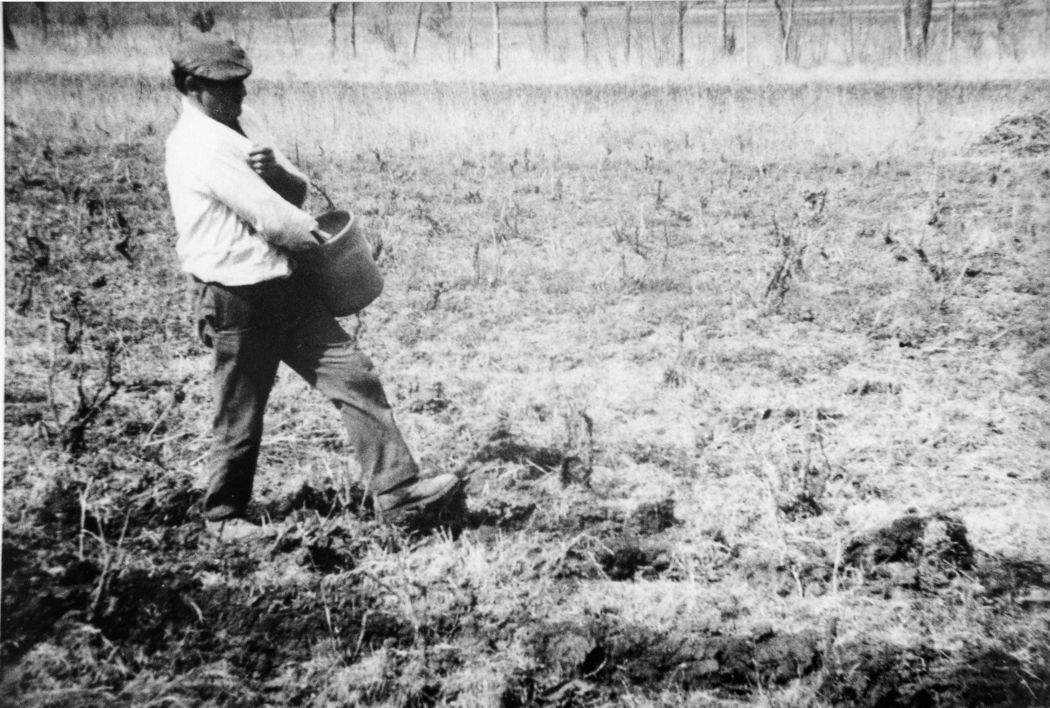 I mezzadri, i braccianti, la fatica e&nbsp;l’armonia