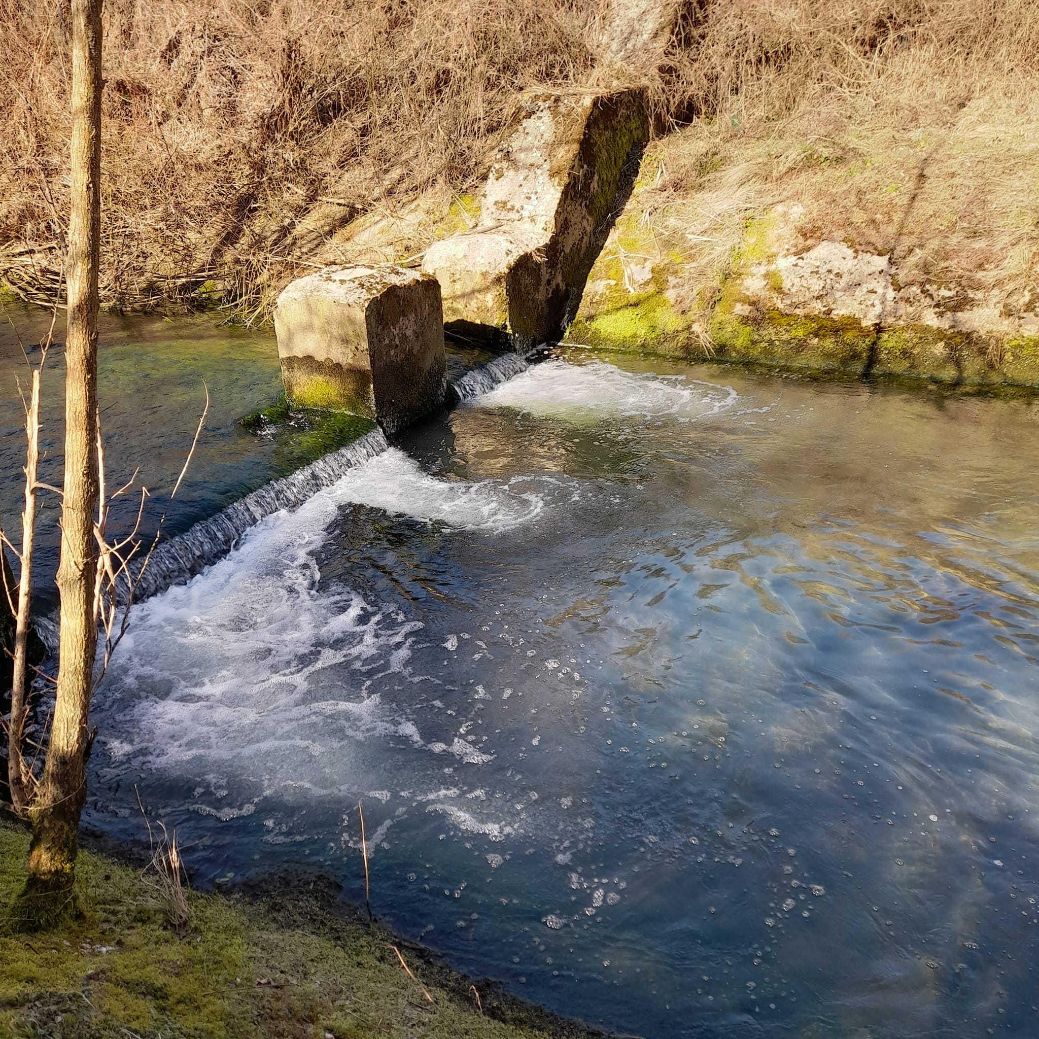 Alla Rafia e ajjo&nbsp;canalo