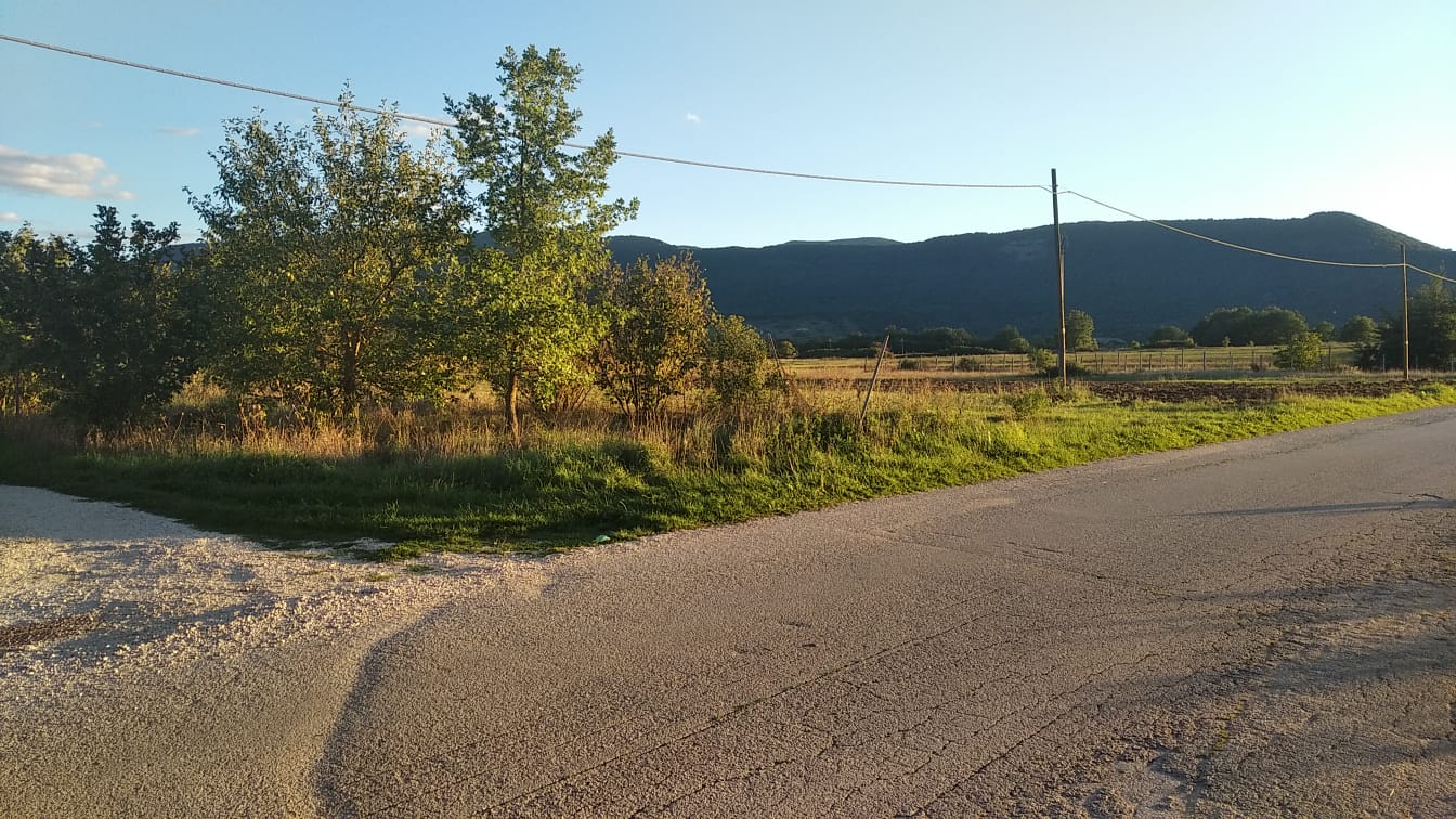 I campi sperimentali e la rivolta di Cese degli anni&nbsp;‘50