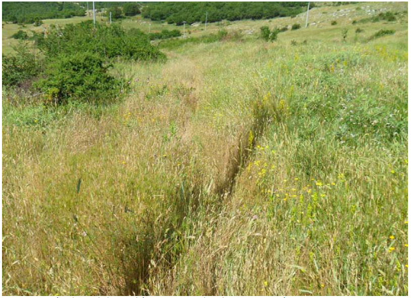 Diritti e confini tra Cese, Corcumello e&nbsp;Pagliara