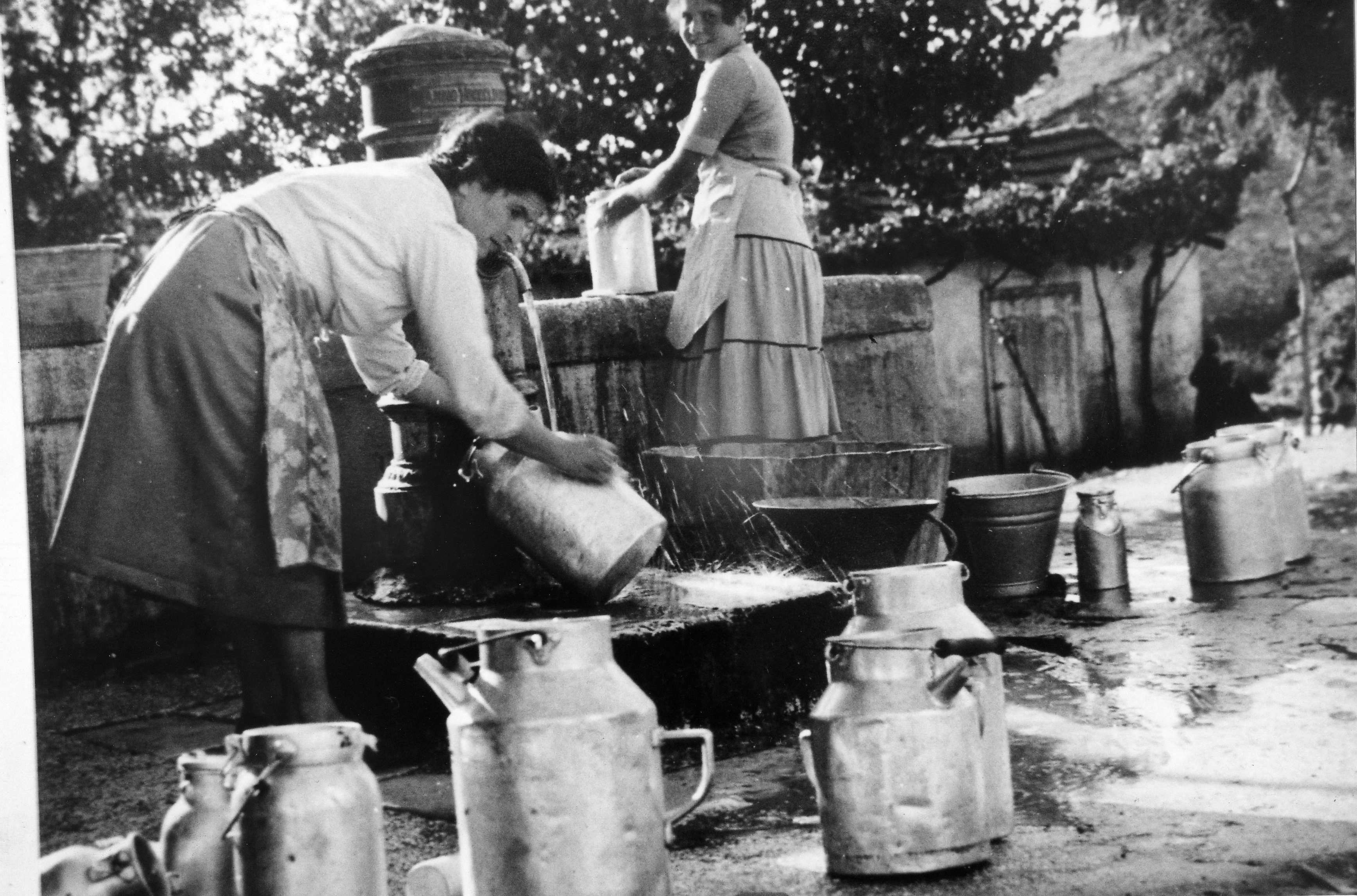 Le lattaròle e l’oro bianco delle&nbsp;Cese