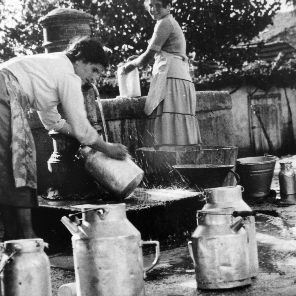 Le lattaròle e l’oro bianco delle&nbsp;Cese