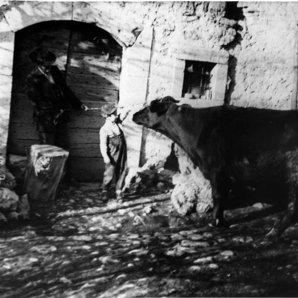 “L’alberale” e altre forme di mutualità “cesaròla”