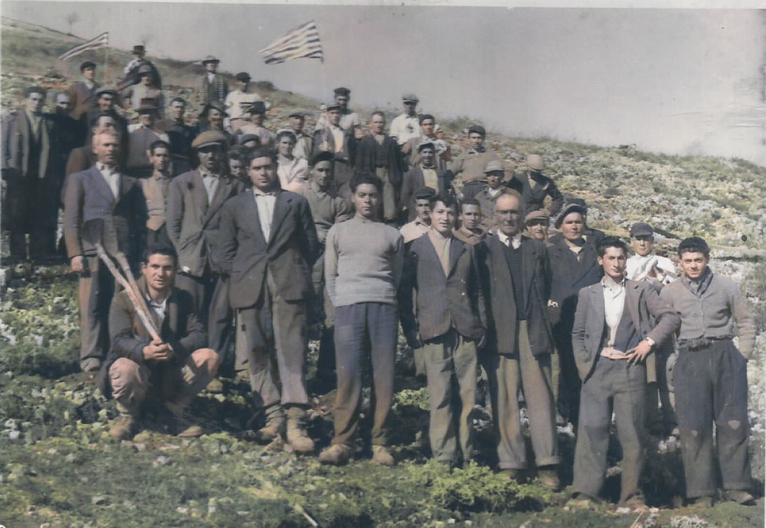 Il rimboschimento del&nbsp;Salviano