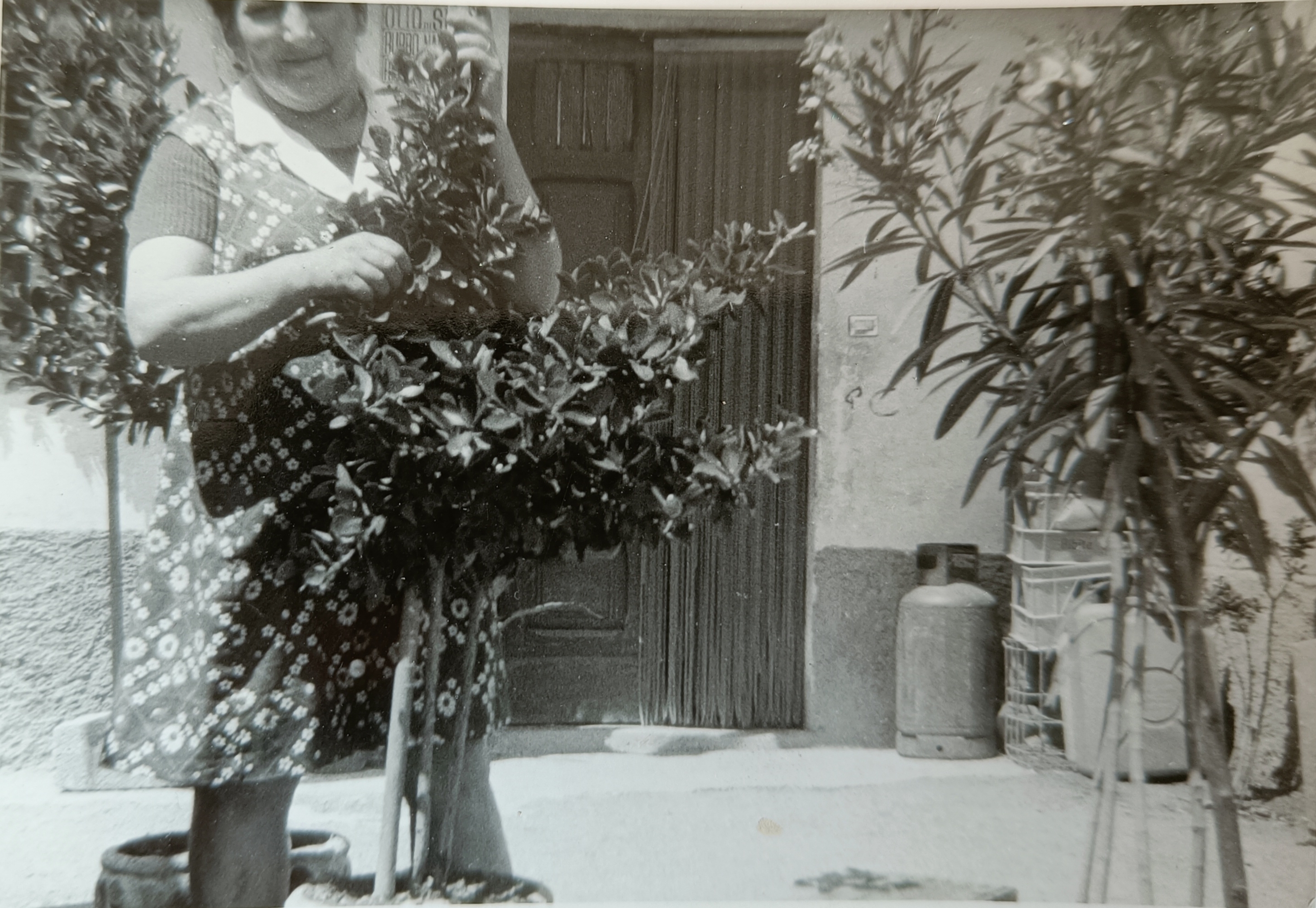 Le botteghe storiche e “jo&nbsp;spaccio”