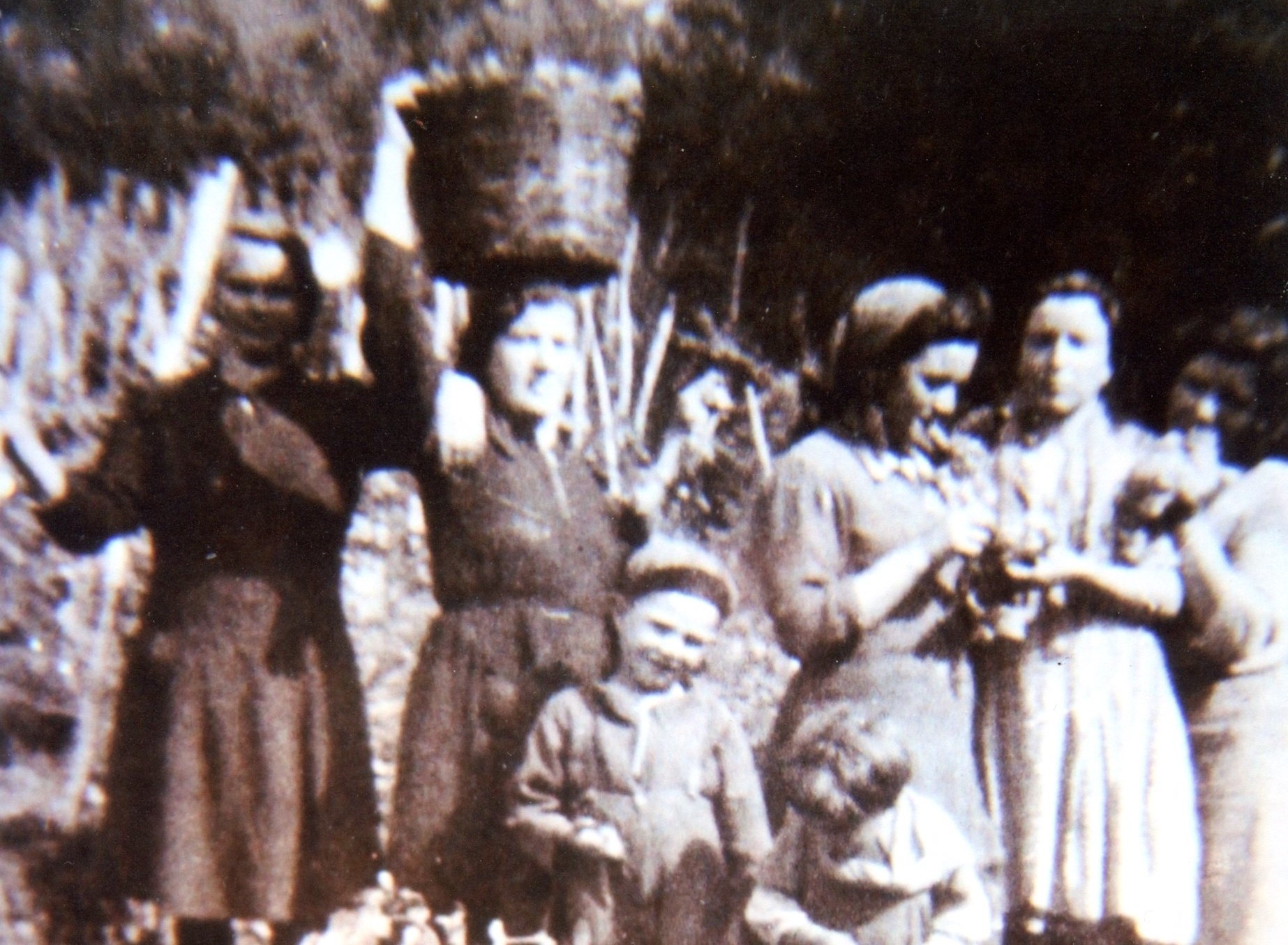 La vendemmia, la pigiatura, il ticchettio dei&nbsp;vinacciari…