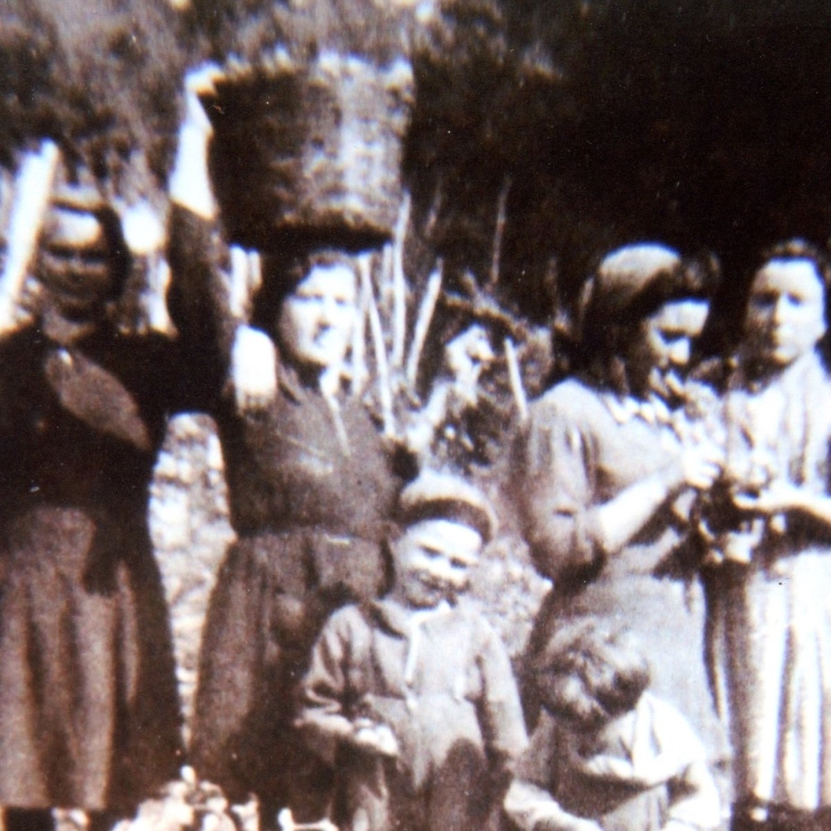 La vendemmia, la pigiatura, il ticchettio dei&nbsp;vinacciari…