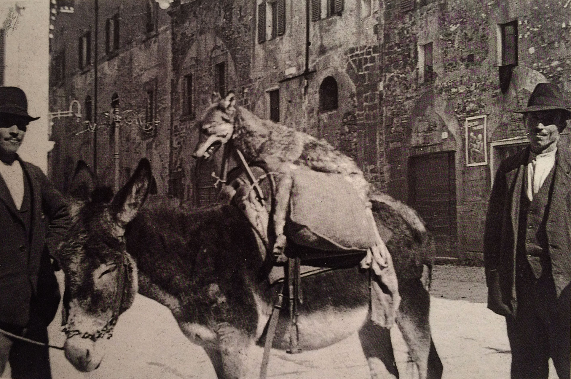 Uomini e lupi:  quando c’erano i&nbsp;lupari