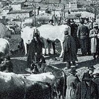 Le fiere, “jo strašcìno” e i&nbsp;sensali