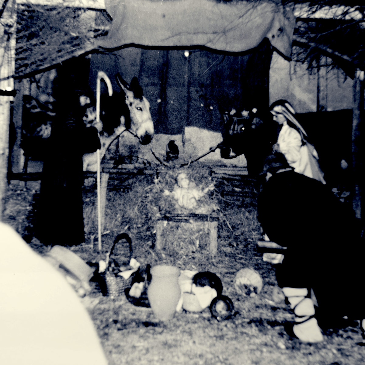 I presepi viventi a Cese, emozione e&nbsp;luce