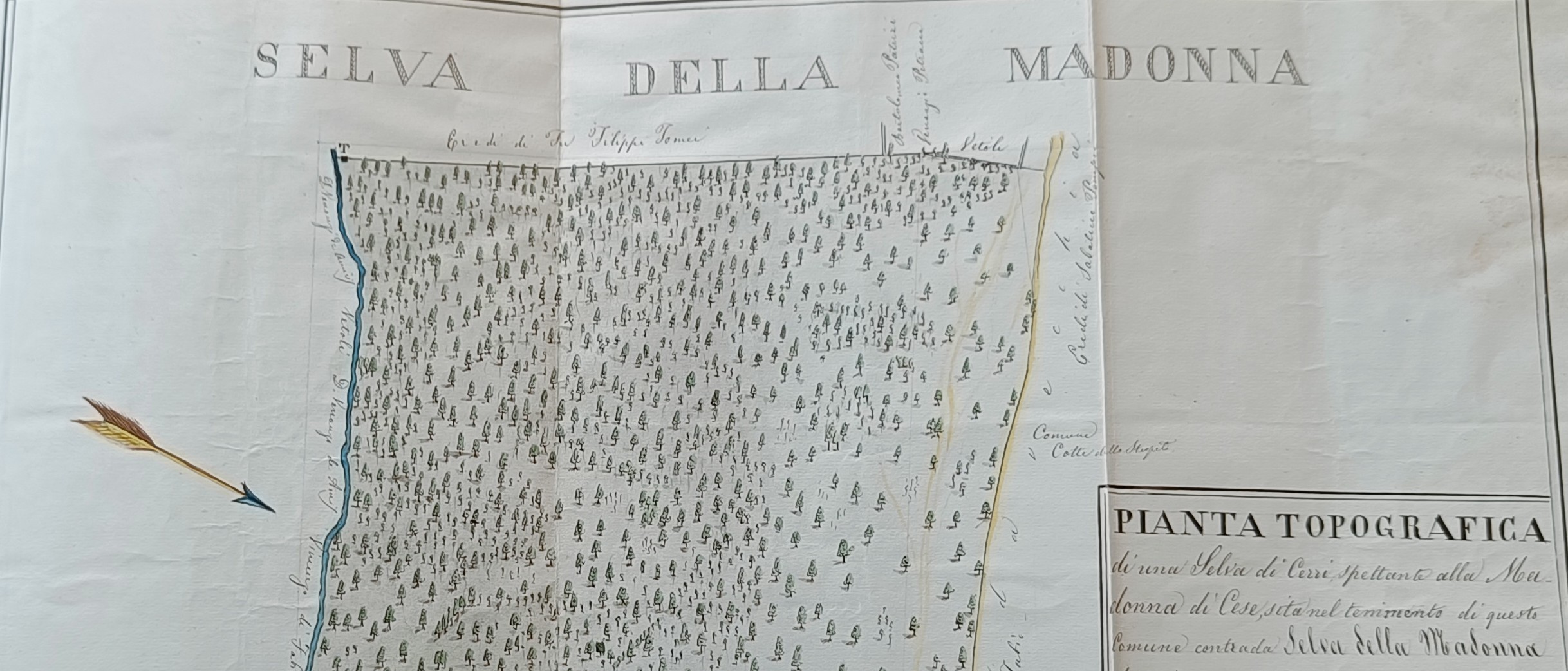 La “Selva della Madonna”, figlia dell’antica selva&nbsp;palentina